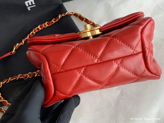 Hyper Peter CHANEL FLAP BAG 0806